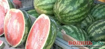Чому не варто купувати розрізані кавуни та дині: пояснення гастроентеролога