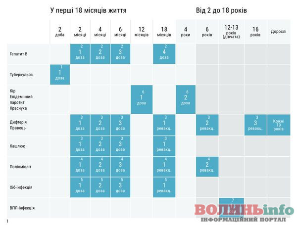Які щеплення потрібні дитині перед садочком і школою у 2026 році: повний перелік