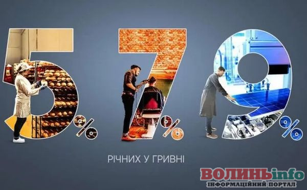 Майже 3,5 мільярда гривень кредитів: скільки аграріїв на Волині отримали пільгові позики