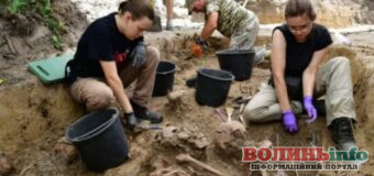 На Волині завершили українсько-польські ексгумації: виявили останки 55 людей